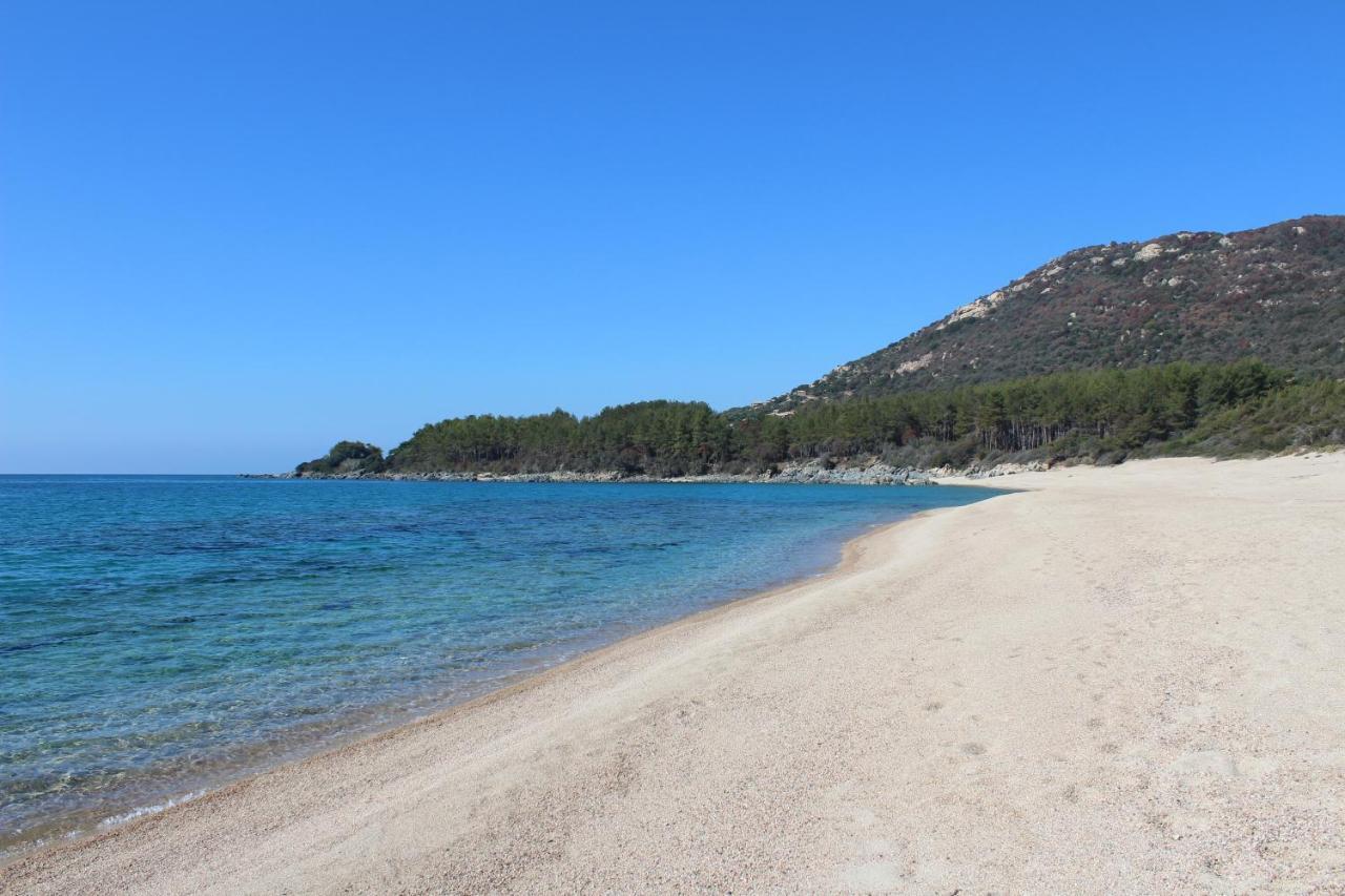 Villas Valinco San Martinu Corse Du Sud - Vue Et Proche Mer - Piscines-7 Chambres オルムト エクステリア 写真