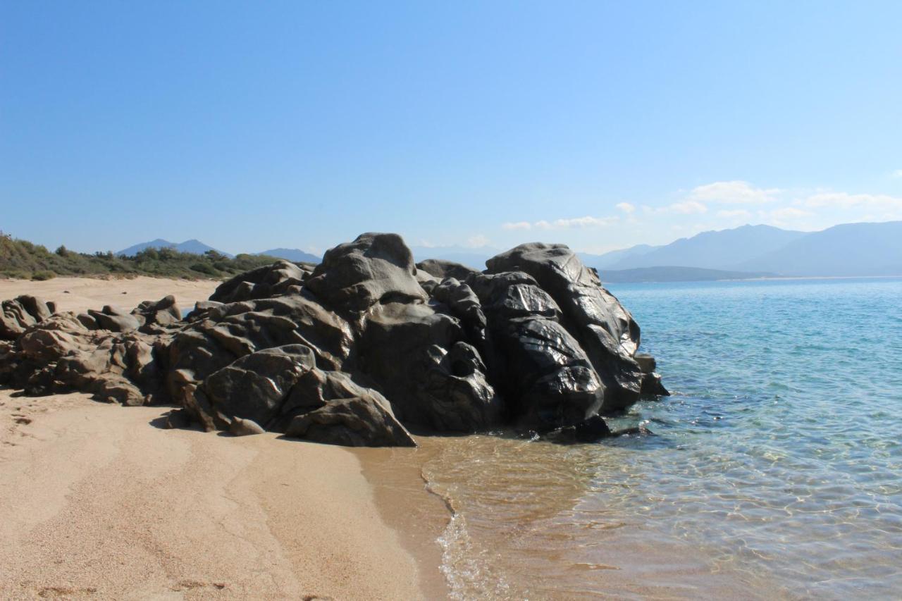 Villas Valinco San Martinu Corse Du Sud - Vue Et Proche Mer - Piscines-7 Chambres オルムト エクステリア 写真