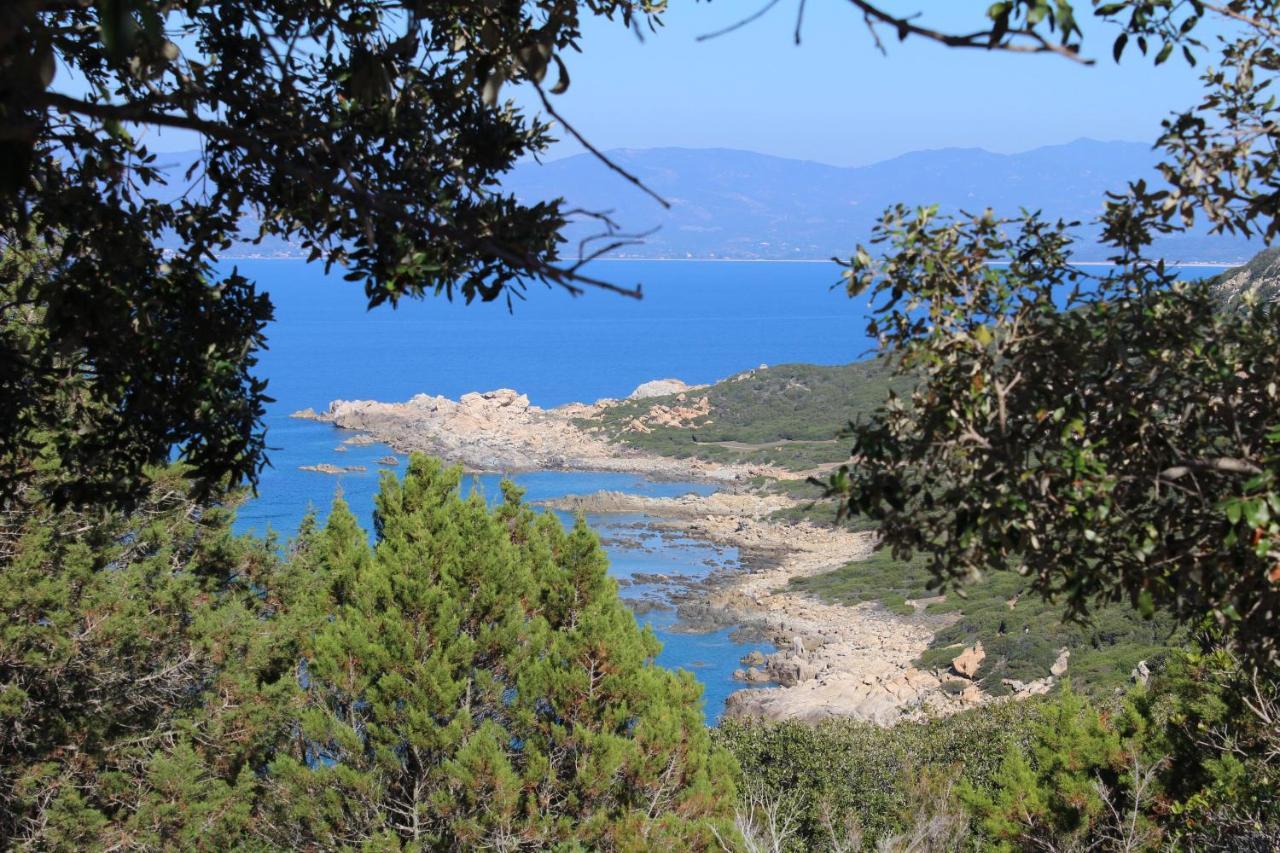 Villas Valinco San Martinu Corse Du Sud - Vue Et Proche Mer - Piscines-7 Chambres オルムト エクステリア 写真