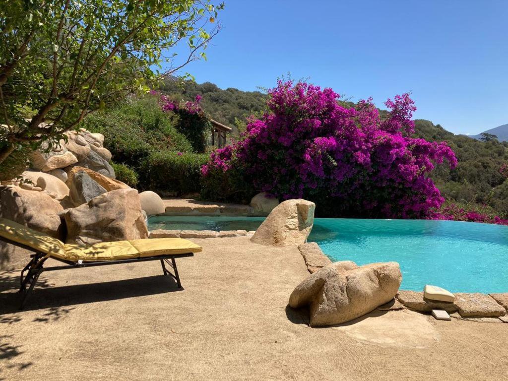 Villas Valinco San Martinu Corse Du Sud - Vue Et Proche Mer - Piscines-7 Chambres オルムト エクステリア 写真