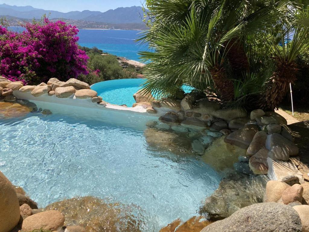 Villas Valinco San Martinu Corse Du Sud - Vue Et Proche Mer - Piscines-7 Chambres オルムト エクステリア 写真
